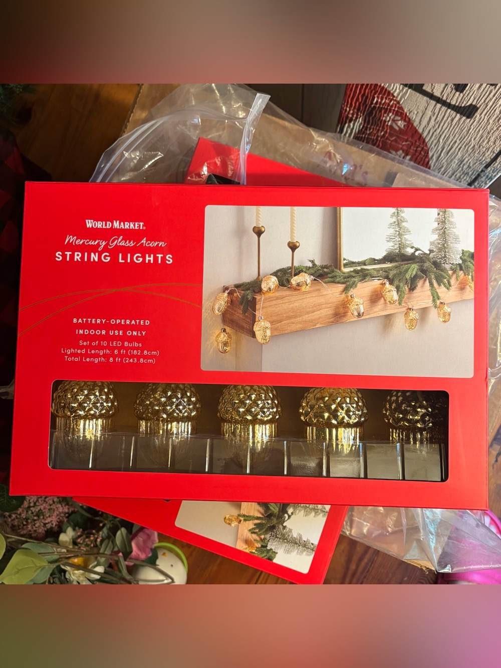 World Market Gold Mercury Glass Acorn String Lights